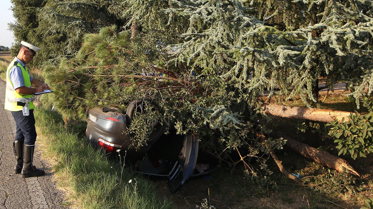 Con Lauto Abbatte Due Alberi E Finisce Fuori Strada Sotto I Tronchi Foto