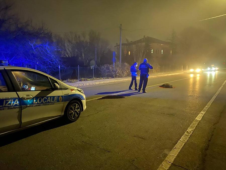 Incidente Bologna Cinghiale Investito E Ucciso In Via Mattei