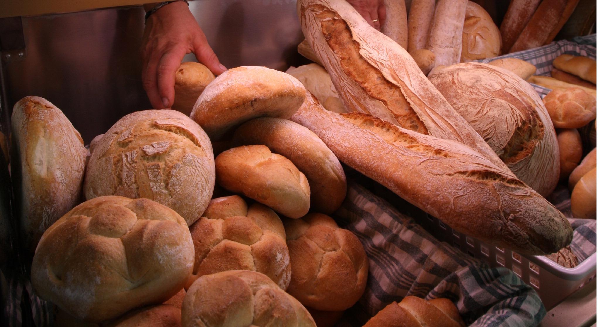 Giornata Mondiale Del Pane L Antoniano Scende In Campo Contro La Povert