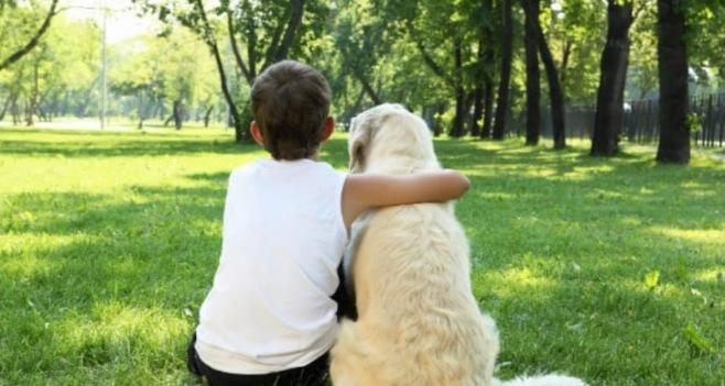 Superare Le Difficolt Emotive Leggendo Un Libro Al Cane