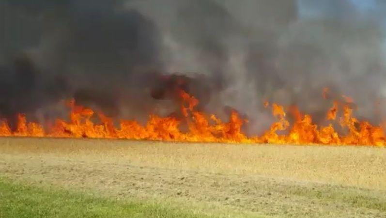 Ferrara Incendio In Un Campo Il Fuoco Si Avvicina Alle Case Foto E