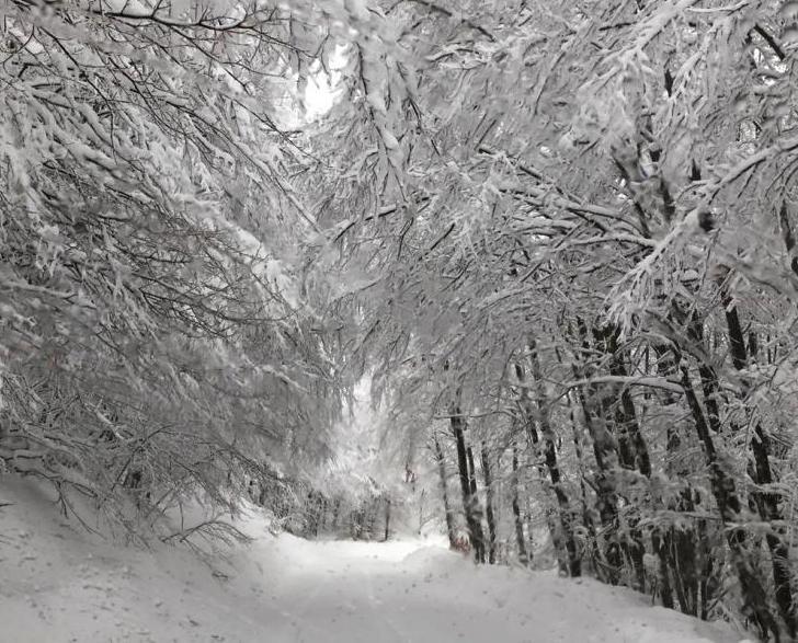 Reggio Emilia Super Nevicata SullAppennino Scuole Chiuse In 6 Comuni