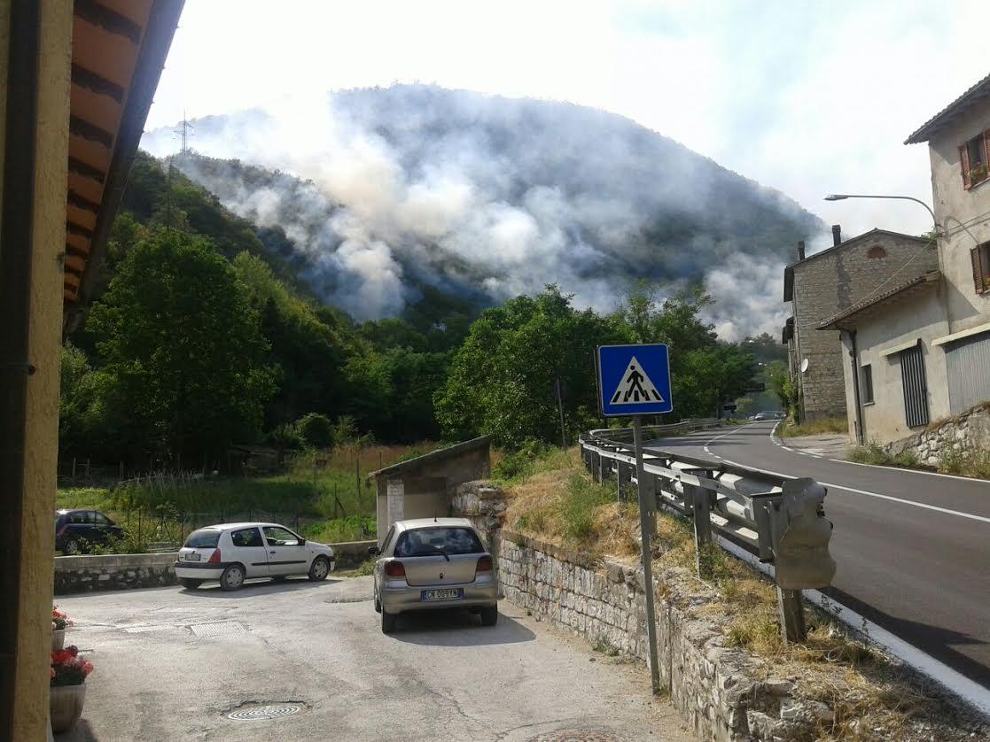 Spento Lincendio Nei Boschi Di Serravalle