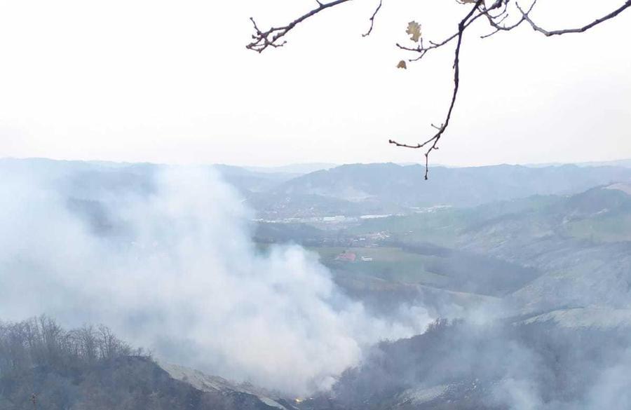 Prignano Vasto Rogo Nei Boschi Pompieri Impegnati Tutta La Notte