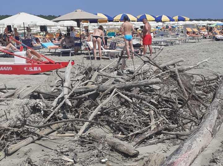 Lidi nord lAdriatico off limits Il problema cè ma ce la faremo