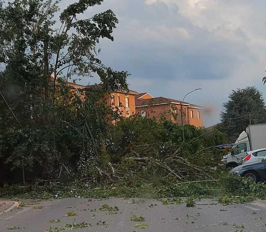 Ondata Di Maltempo Alberi Abbattuti E Allagamenti