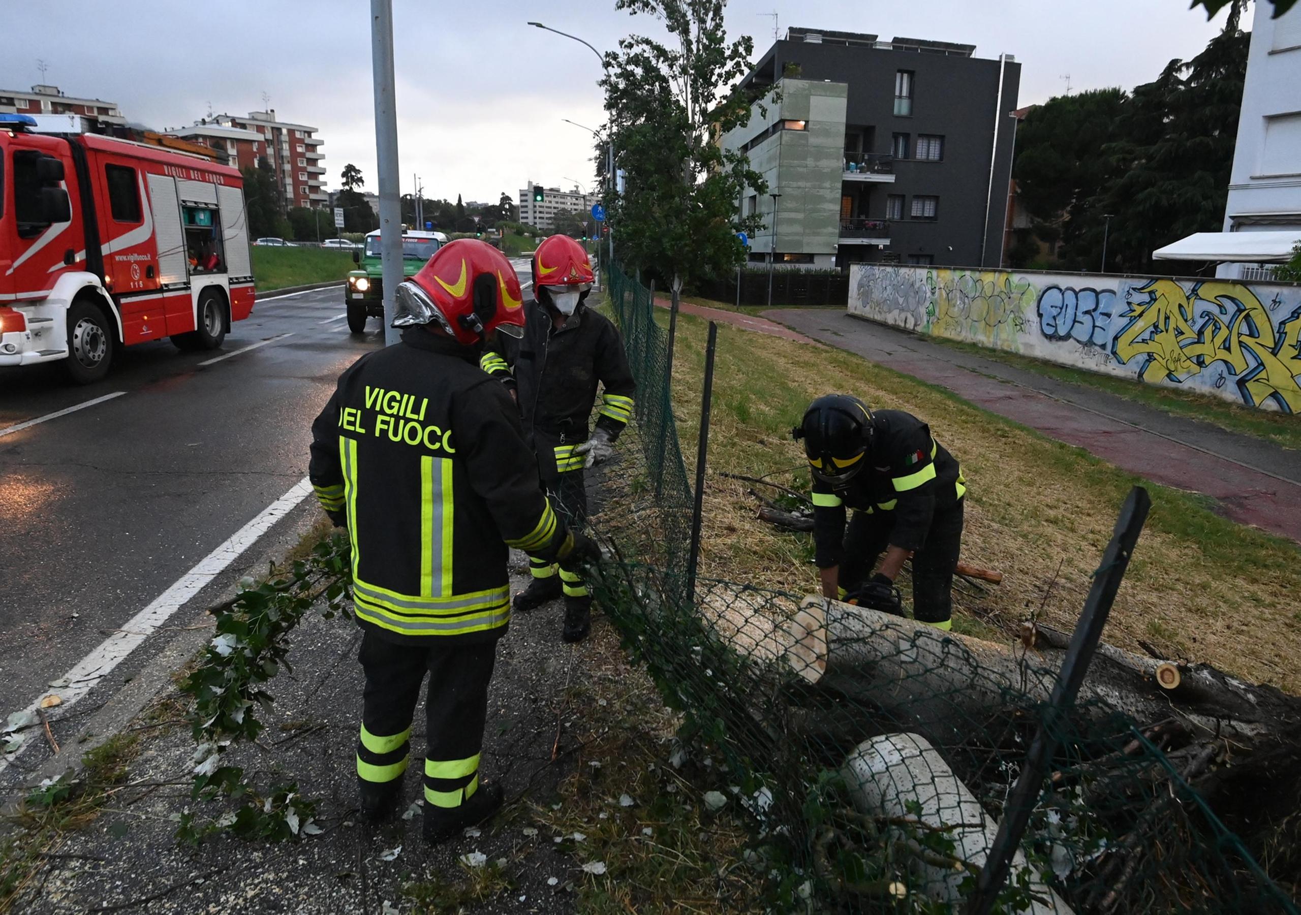 Maltempo Pioggia Battente In Citt E Provincia Alberi Pericolanti E