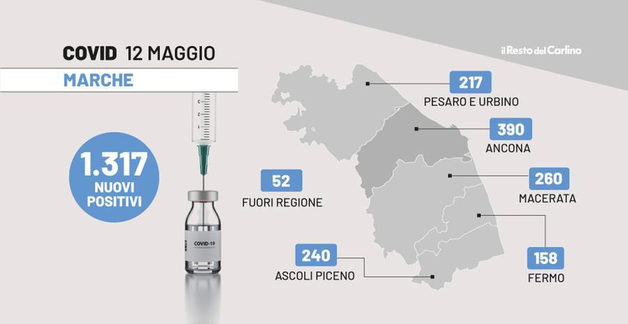 Bollettino Covid Marche Del 12 Maggio 2022 1 317 Nuovi Contagi E 4 Morti