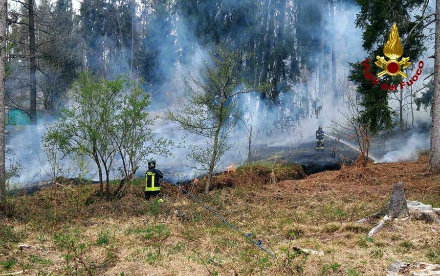 Venezia Allerta Incendi Boschivi Dichiarato Lo Stato Di Grave