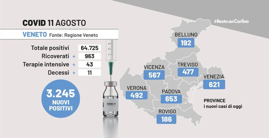 Covid Veneto Oggi 11 Agosto 2022 Frena La Curva 3 245 Nuovi Casi E