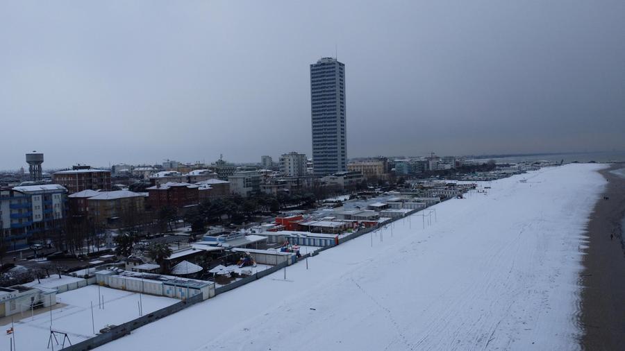 Un Bianco Risveglio Per La Riviera Blackout Per Il Crollo Di Un Ramo