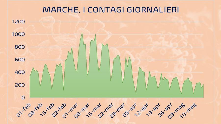 Covid 16 Maggio 2021 Marche Bollettino Coronavirus Oggi Contagi