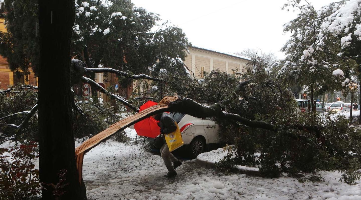 Maltempo Del Febbraio La Neve Presenta Il Conto Mila Euro