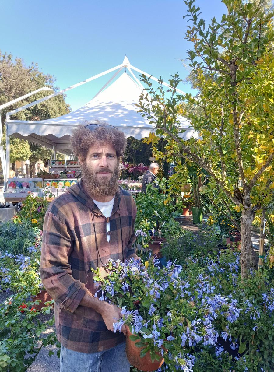 Piazza Prampolini Invasa Dai Fiori