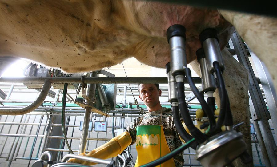 Biometano Distributori Dove Fare Il Pieno In Emilia Romagna E Prezzo