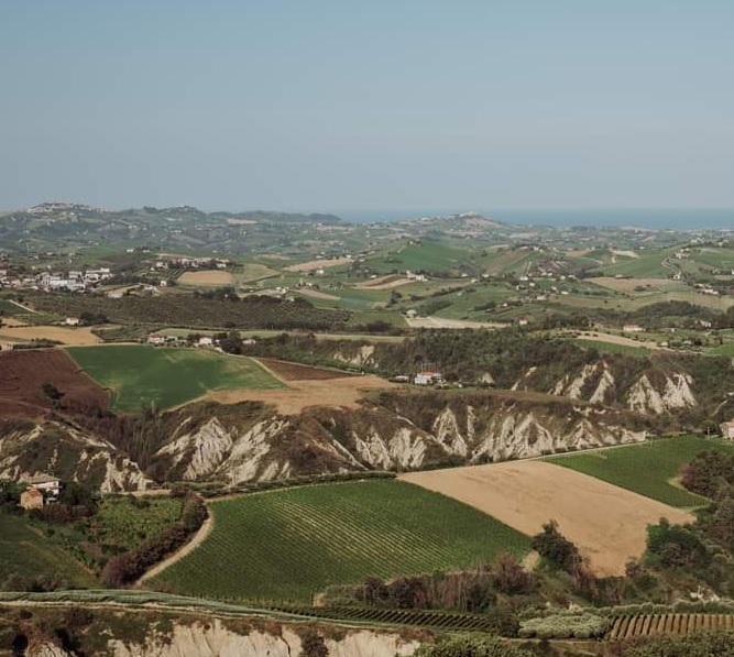 Appignano del Tronto Estate Ricca di Attività con la Pro Loco