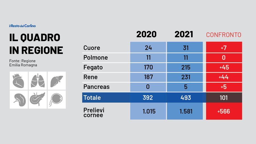 Trapianto Di Fegato Da Donatore Vivente Modena Ai Vertici In Europa