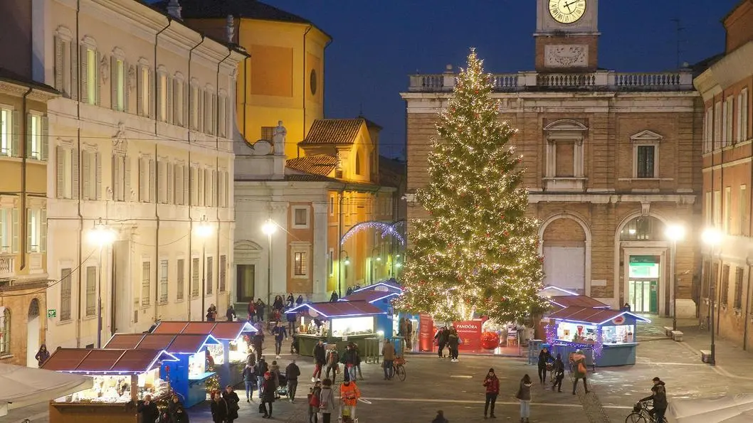 L Albero Di Natale Si Fa Largo In Piazza Del Popolo A Ravenna