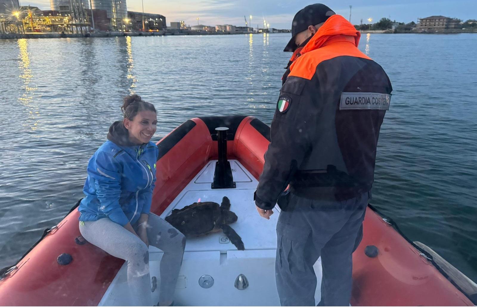 Marina Di Ravenna Salvata Una Tartaruga Caretta Caretta