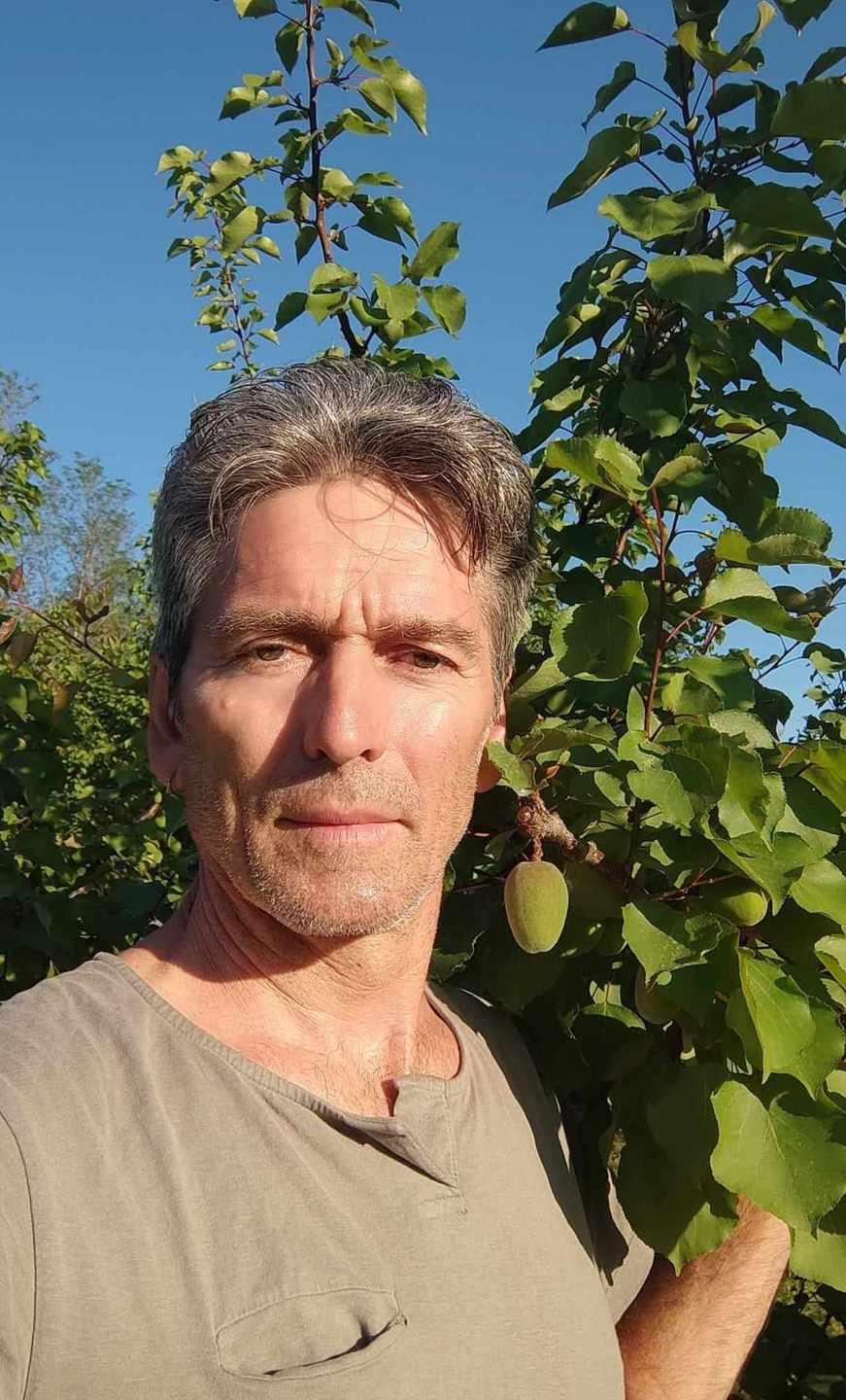 Freddo Tardivo E Grandinate Frutta A Rischio Gli Agricoltori Adesso