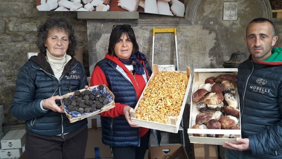 Appuntamenti a Premilcuore e a Portico. Annata incerta per i frutti di bosco, gli esperti: "Raccolta dei marroni appena iniziata e prodotto ottimo". "Porcini sì, ma soprattutto dal nord"