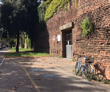 Sorpresa a Bologna: sulle mura crescono i capperi, ecco perché