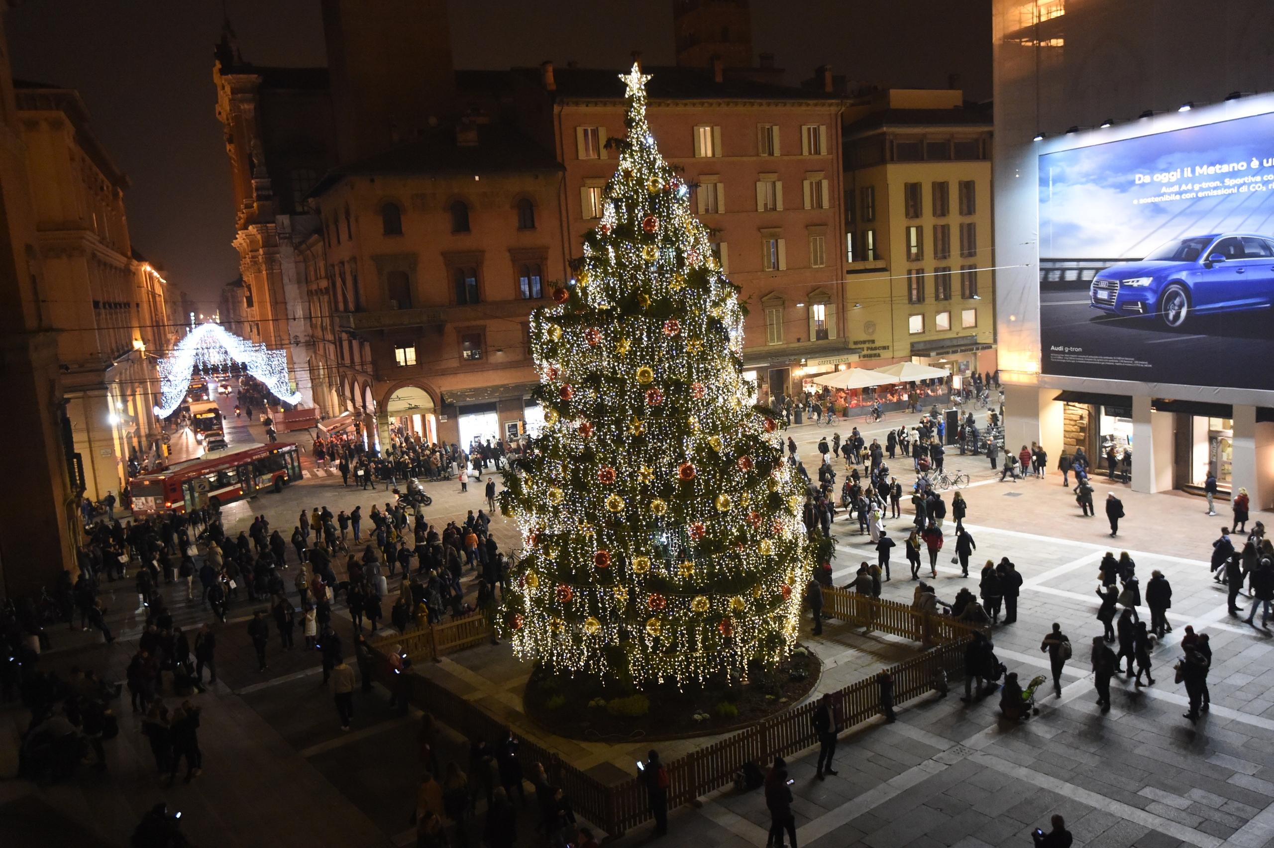 Bologna L Albero Di Natale Illumina Piazza Nettuno Foto E Video