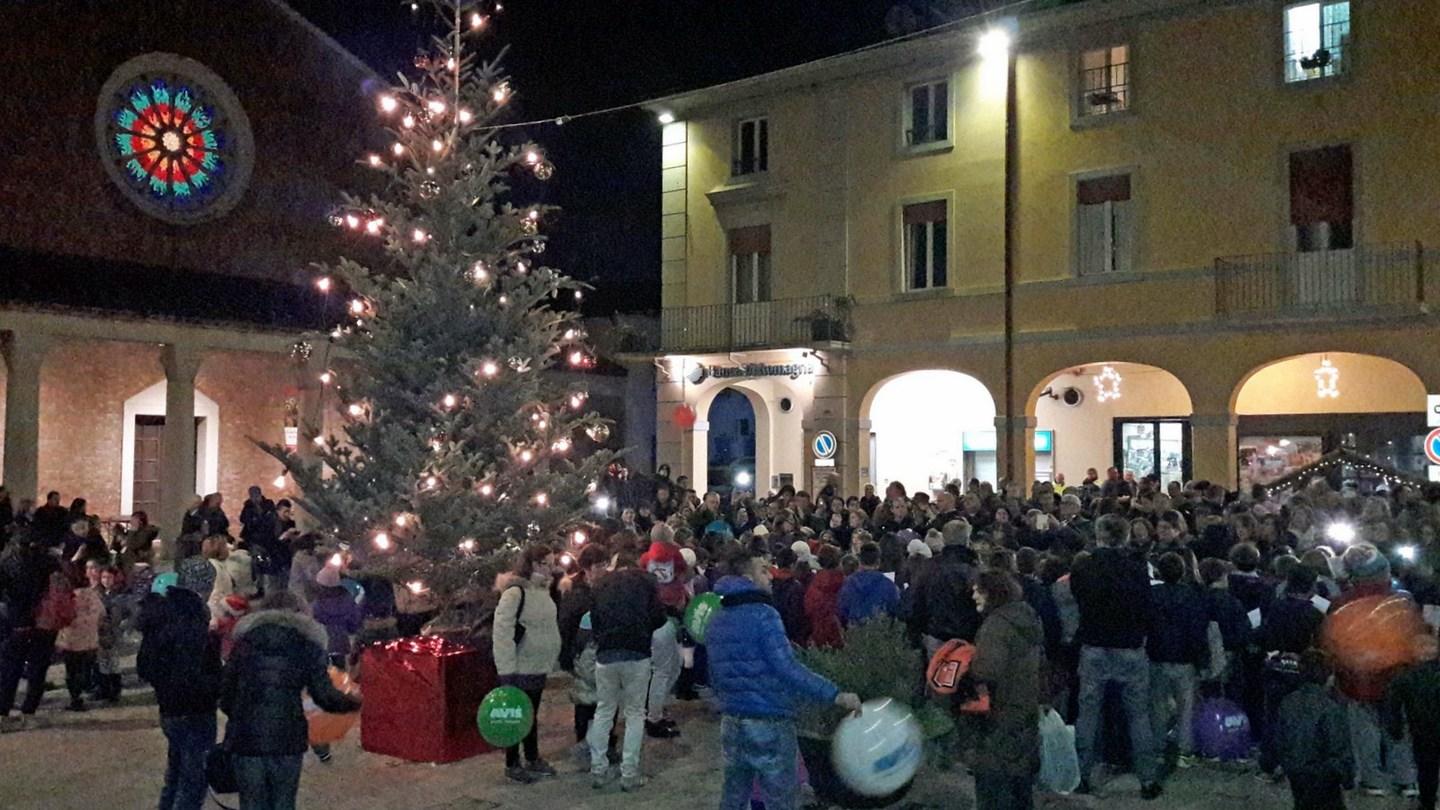 Solarolo, dalle foreste tedesche ecco l'albero di Natale. Foto