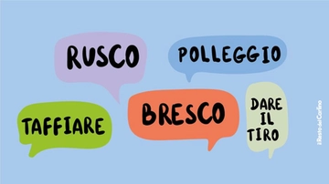 Slang bolognese, da ‘polleggio’ a ‘ingubbio’: cosa significano