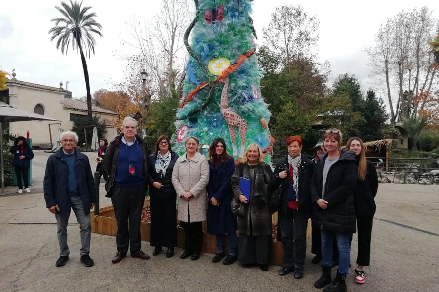 Bioparco di Roma, albero di Natale 