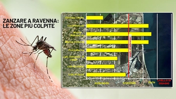 Zanzare a Ravenna: lidi nord assediati