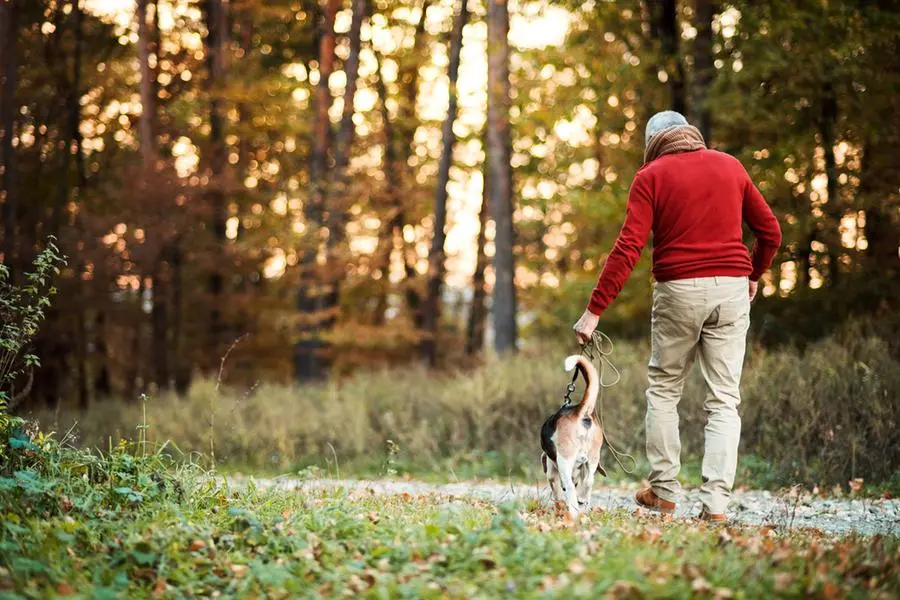 Rimini, rapinato mentre porta il cane al parco