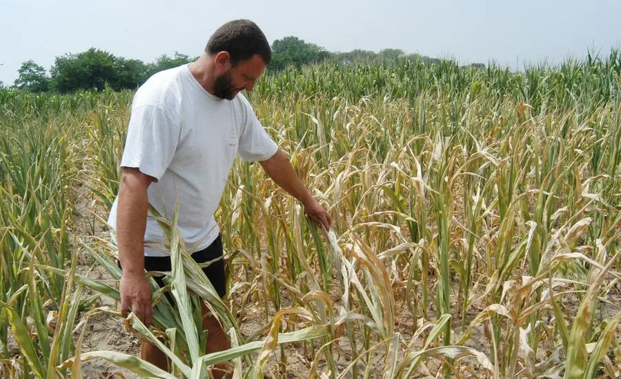 Cambiamento climatico a Bologna: "Piogge estreme e nel 2030 un grado in più"