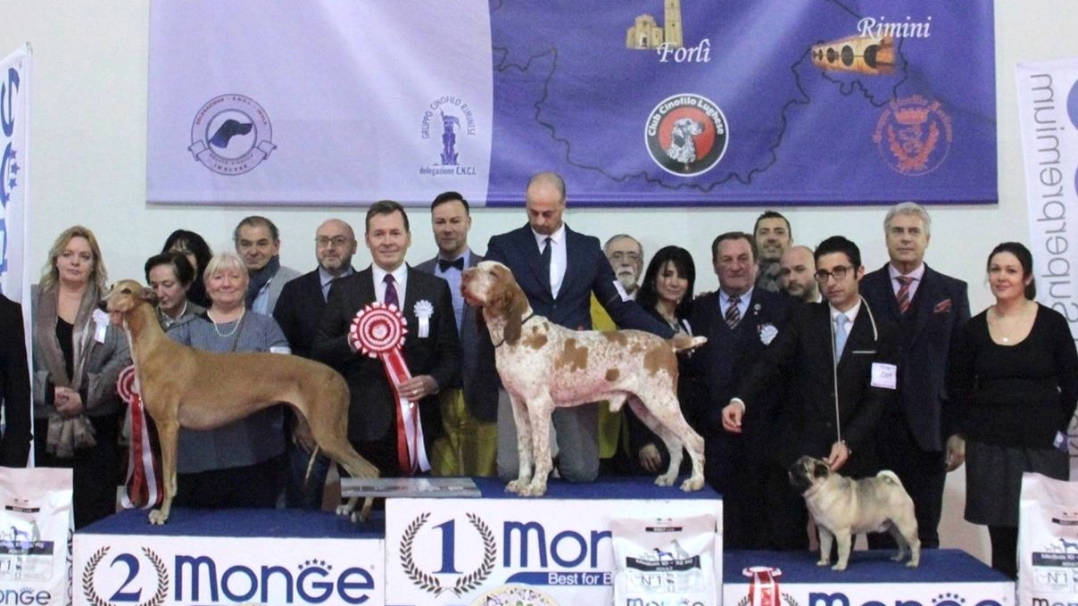 Cesena capitale mondiale dei cani. Parte  ’Romagna Winner Dog’