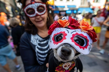 Halloween 2023, le feste e gli eventi in programma a Pesaro per i più piccoli