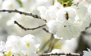 Meteo Pasqua e Pasquetta: previsioni aggiornate per l’Emilia Romagna