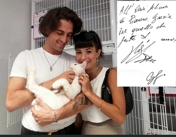 Damiano dei Maneskin e Giorgia Soleri adottano un gatto all'Oasi Felina di Pianoro