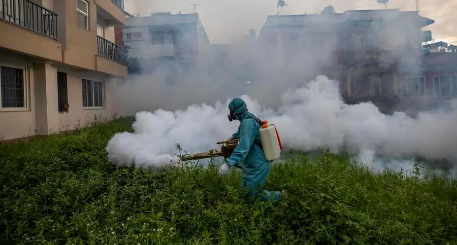 Dengue, primo caso in provincia di Rimini: paura a Santarcangelo