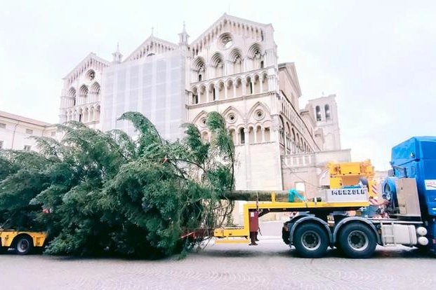 Ferrara, l'albero di Natale arriva in piazza: ecco quando si accende