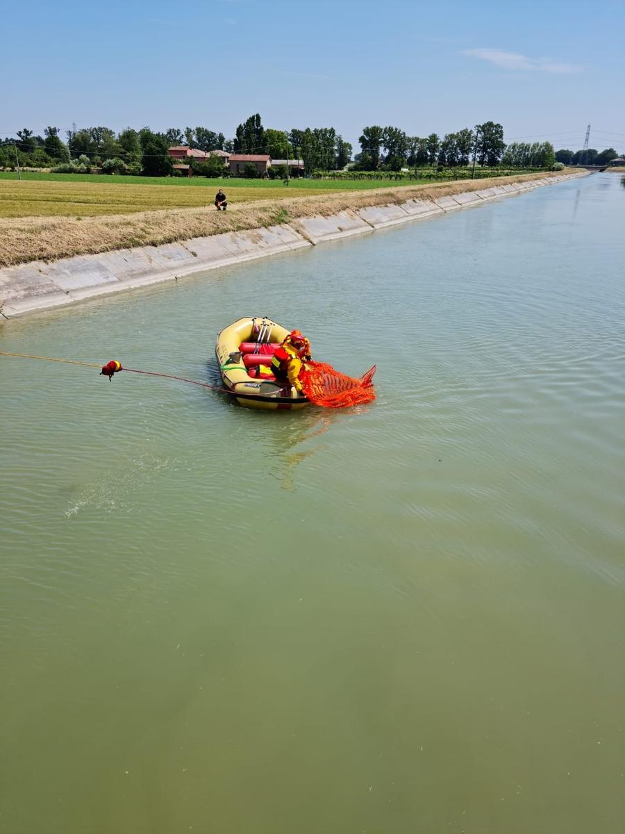 Donna Trovata Morta A Budrio Nel Canale Emiliano Romagnolo