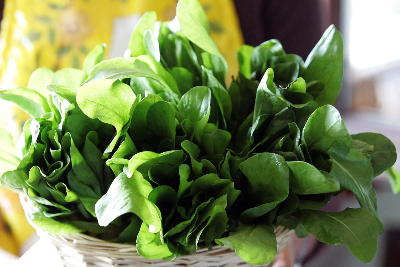 Produttori agricoli contrari alle proposte della Comunità Europea che vuole vietare i piccoli imballaggi di insalata, patate, fragole e pomodori