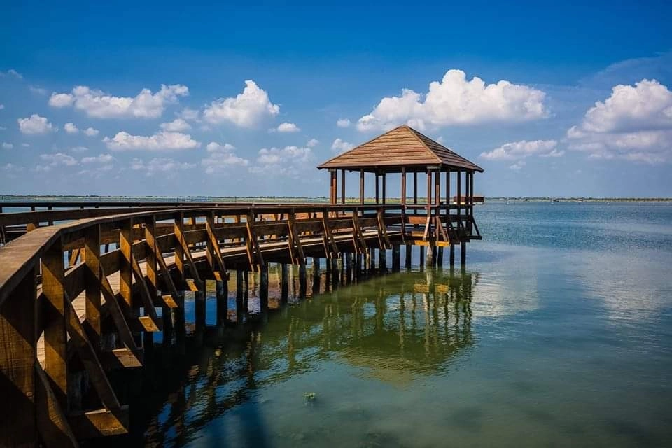 Lo spettacolare giardino botanico litoraneo di Porto Caleri