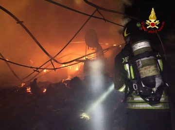 Incendio Bentivoglio, bruciano azienda agricola e vigneto