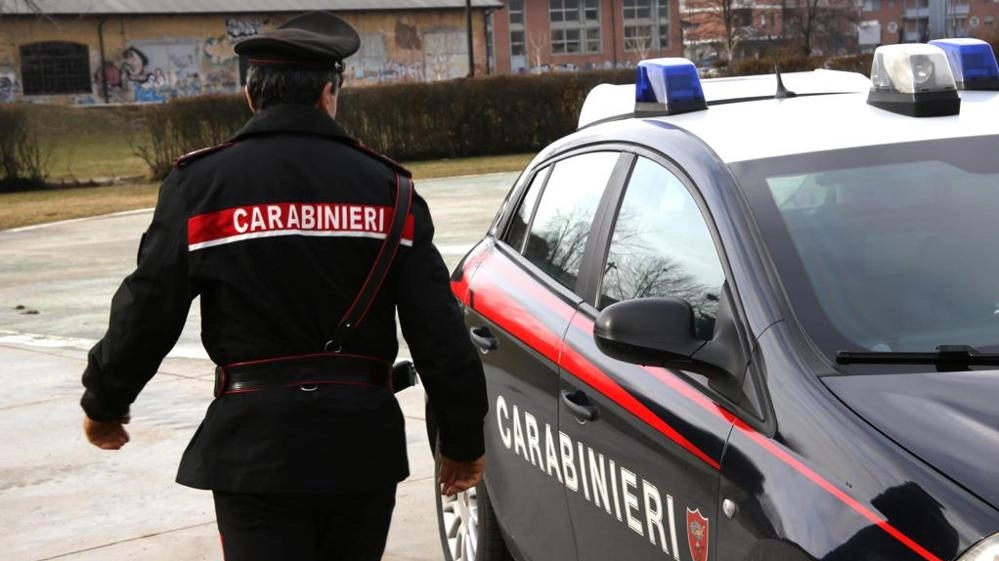 Sul posto intervenuti i carabinieri 