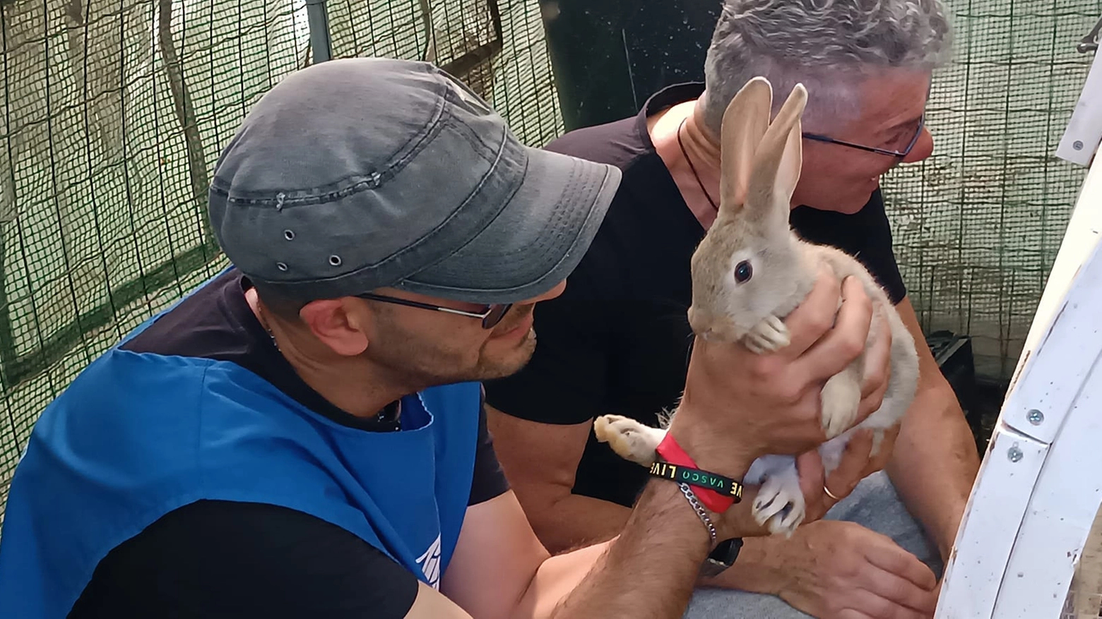 Un coniglio soccorso dall'Oipa durante l'alluvione in Romagna