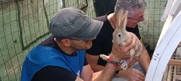 Emergenza maltempo, per gli animali nasce una task force in Emilia Romagna