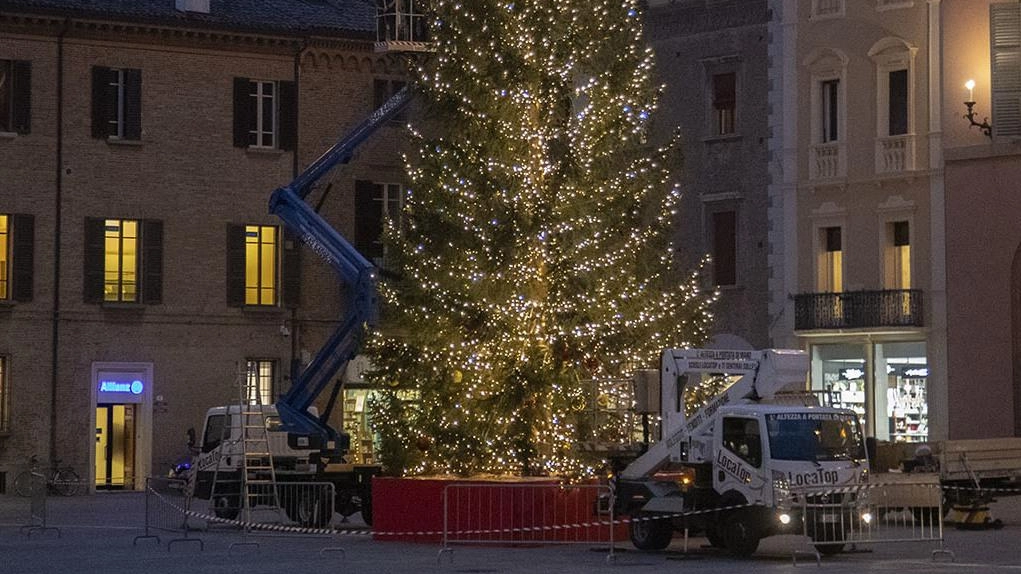 Natale, si accende l’albero in piazza