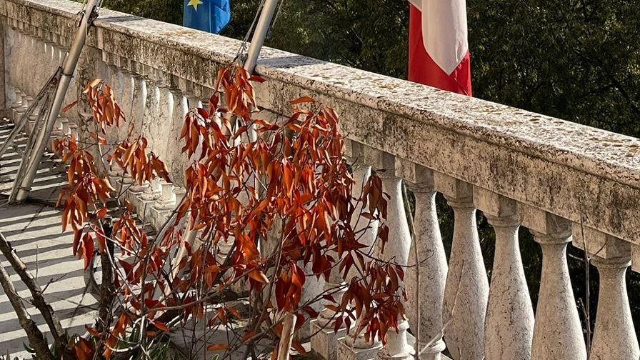 "Napolitano, un  uomo al servizio del Paese"