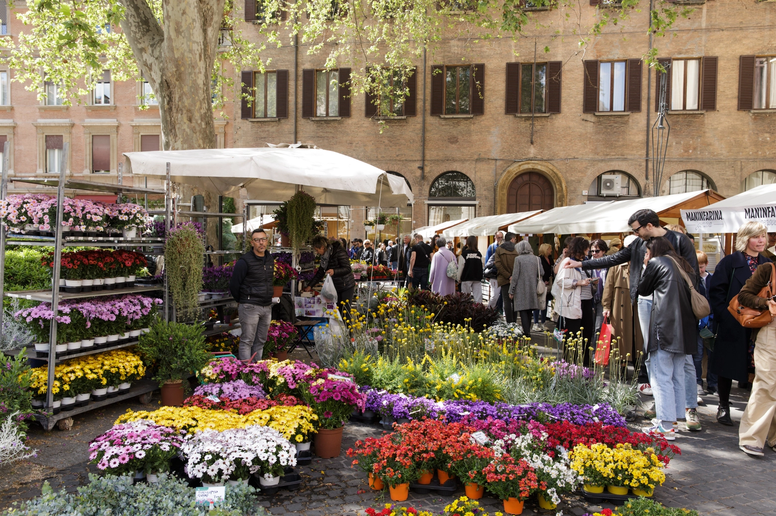 Bologna in fiore: piazza Minghetti diventa un giardino