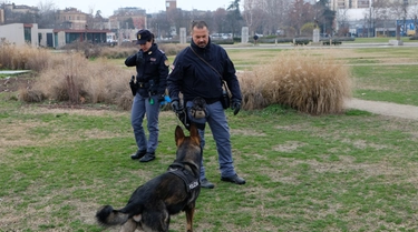 Omicidio del 16enne al Novi Sad di Modena: un secondo uomo arrestato in Inghilterra